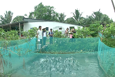 Du lịch Cồn Sơn